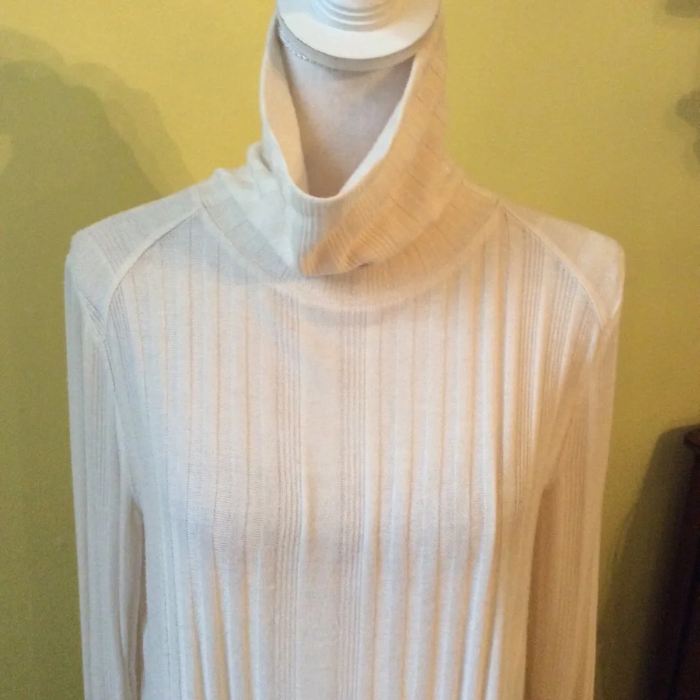 WeThe Free Cream Turtleneck LS Sweater Dress L - Picture 3 of 16